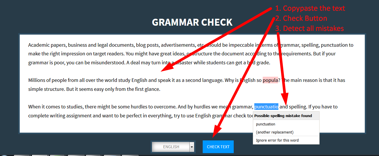 English grammar checker editor