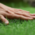 Lawn Care Tips To Keep Your Home Looking Its Best