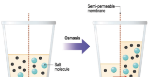 How does Reverse Osmosis Water System Work, and what is it?
